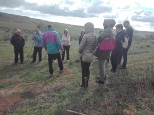 Foto 4 Mañana por el olivar ecológico - Noticias Ecológicos Aranda