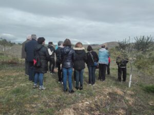 Foto 3 Mañana por el olivar ecológico - Noticias Ecológicos Aranda