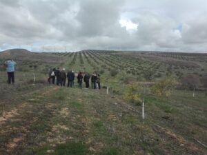 Foto 1 Mañana por el olivar ecológico - Noticias Ecológicos Aranda