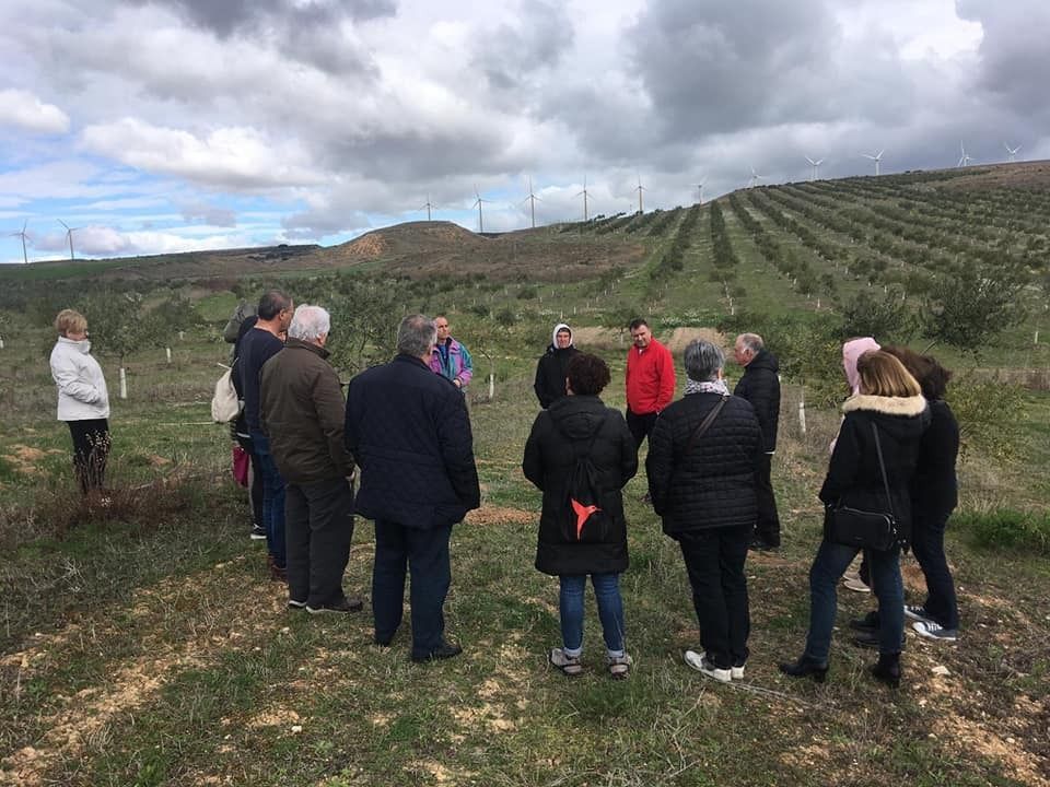 Cabecera mañana por el olivar ecológico - Noticias Ecológicos Aranda