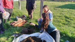 Foto 1 Qué es el Maria Thun - Noticias Ecológicos Aranda