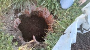 Cabecera Qué es el Maria Thun - Noticias Ecológicos Aranda