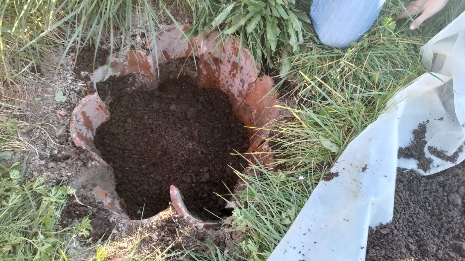 Cabecera Qué es el Maria Thum - Noticias Ecológicos Aranda