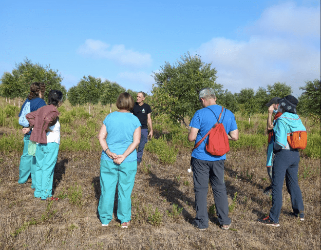Cebecera Visita guiada en el olivar ecológico en Falces - Noticias Ecológicos Aranda