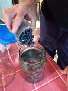 Foto 9 Visita guiada en el olivar ecológico en Falces - Noticias Ecológicos Aranda