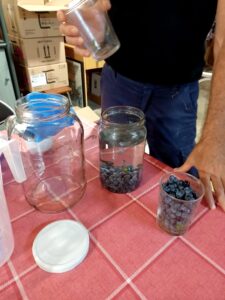 Foto 3 Visita guiada en el olivar ecológico en Falces - Noticias Ecológicos Aranda
